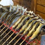 杉ケ瀬ヤナ - ２０１３年は８月２４日オープンでしたが、９月になっても鮎の生育が悪く痩せていました