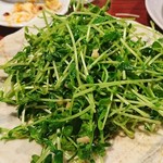 中華料理 マルコウ - 豆苗炒め