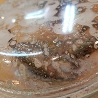割烹 川田 - 