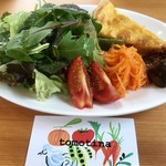 トモッティーナ - 