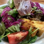 トモッティーナ - 