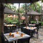 Il Lupino Trattoria & Wine Bar - 