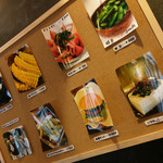 コウモリの羽 - 