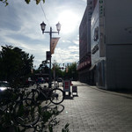 コウモリの羽 - 