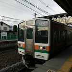 コウモリの羽 - 