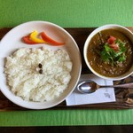 スプーンソング - チキンサンバルの酸味マシマシ(増し増し)/￥1,000