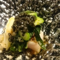 メルモーゾ ダ ドロカワ - 