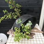 軽井沢そばひょうろく - 