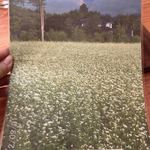 軽井沢そばひょうろく - 