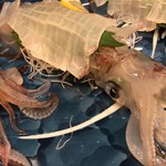 ガーデンテラス 花のれん - 