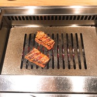 焼肉ホルモン 稲田 - 