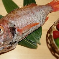 のどぐろ専門 銀座 中俣 - 500g超の、のどぐろ紹介