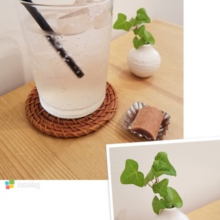 ギビング ツリー カフェ_0