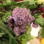 フォカッチェリア ハコ - 葉っぱの下に隠れてたw