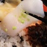 玄海鮨 - イカです