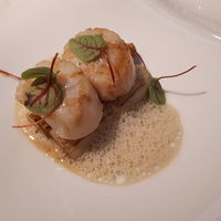 FURUYA　augastronome - 