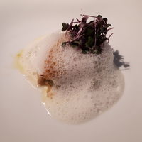 FURUYA　augastronome - 