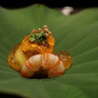 野嵯和 - 