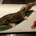 汐見 - 2018年8月再訪。