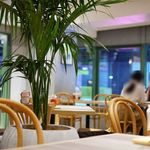 エッグスンシングス - 内観