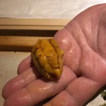 すし匠 まさ - 雲丹