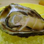 まき村 - 岩牡蠣