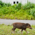 ブックカフェ オキナワレイル - 