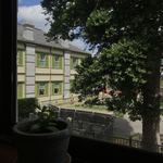 cafe わかば堂 - 窓からの景色