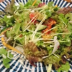 鳥扇 - 八種の野菜サラダ（ハーフ）