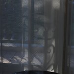 LE GRAND - 木漏れ日が美しいです