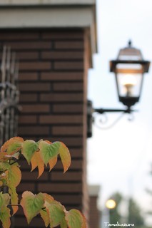 LE GRAND - レンガ多様で雰囲気があります