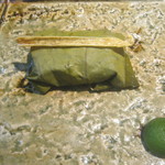 茶禅華 - 蒸功刀鱒。上は皮。