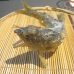 茶禅華 - 五粮香魚UP