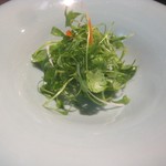 茶禅華 - 老虎菜（ラオフーツァイ）？