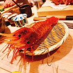 鮨 銀座 おのでら - 活きたまま