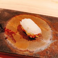 鮨 銀座 おのでら - アオリイカ