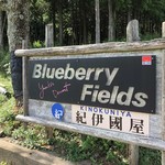 Blueberry Fields 紀伊國屋 - 