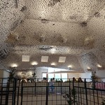 ラ コリーナ近江八幡 - 