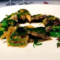 International cuisine subzero - 