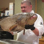 照寿司 - 25kg五島のクエ