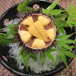 照寿司 - おまかせコース20000円(税サ10%別)　藍島の赤海胆