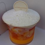 アシッドラシーヌ - ヴィジェ