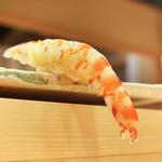 東麻布 天本 - 垂れる車えび