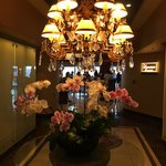 THE Signature PRIME STEAK & SEAFOOD - 