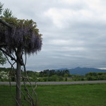 レークヒル・ファーム - お庭