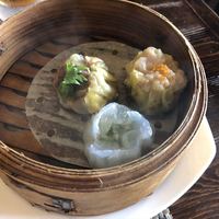 施家菜 - 