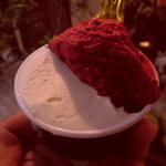 ジェラテリア アクオリーナ - フレッシュミルクとハスカップの二種盛り
