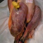 ビストロ バキュース - パンタード、調理前