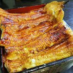 鰻家 - 重箱から鰻がはみ出でる♫