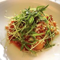 Wattle Tokyo - 